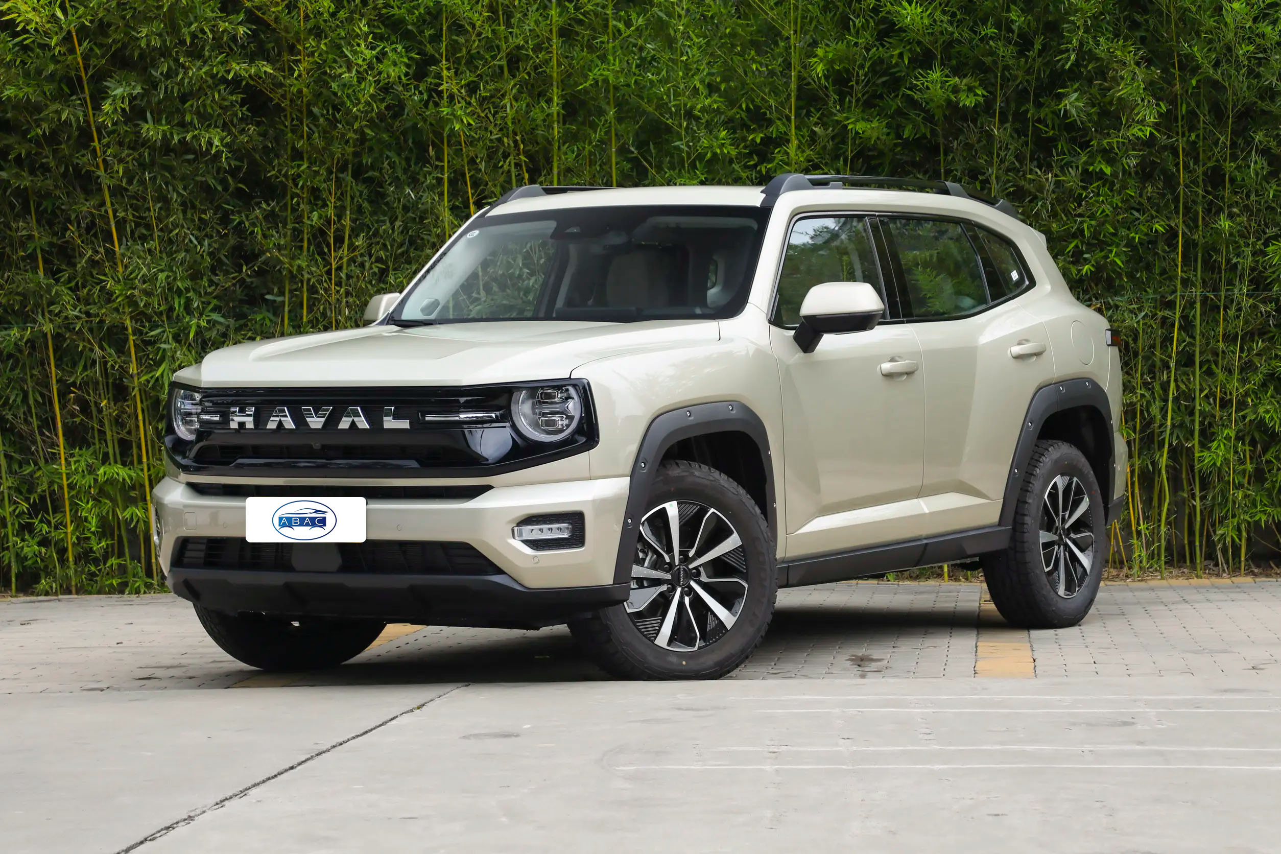 2026 GWM Haval Big Dog Plus 2.0T 2WD - Image 5