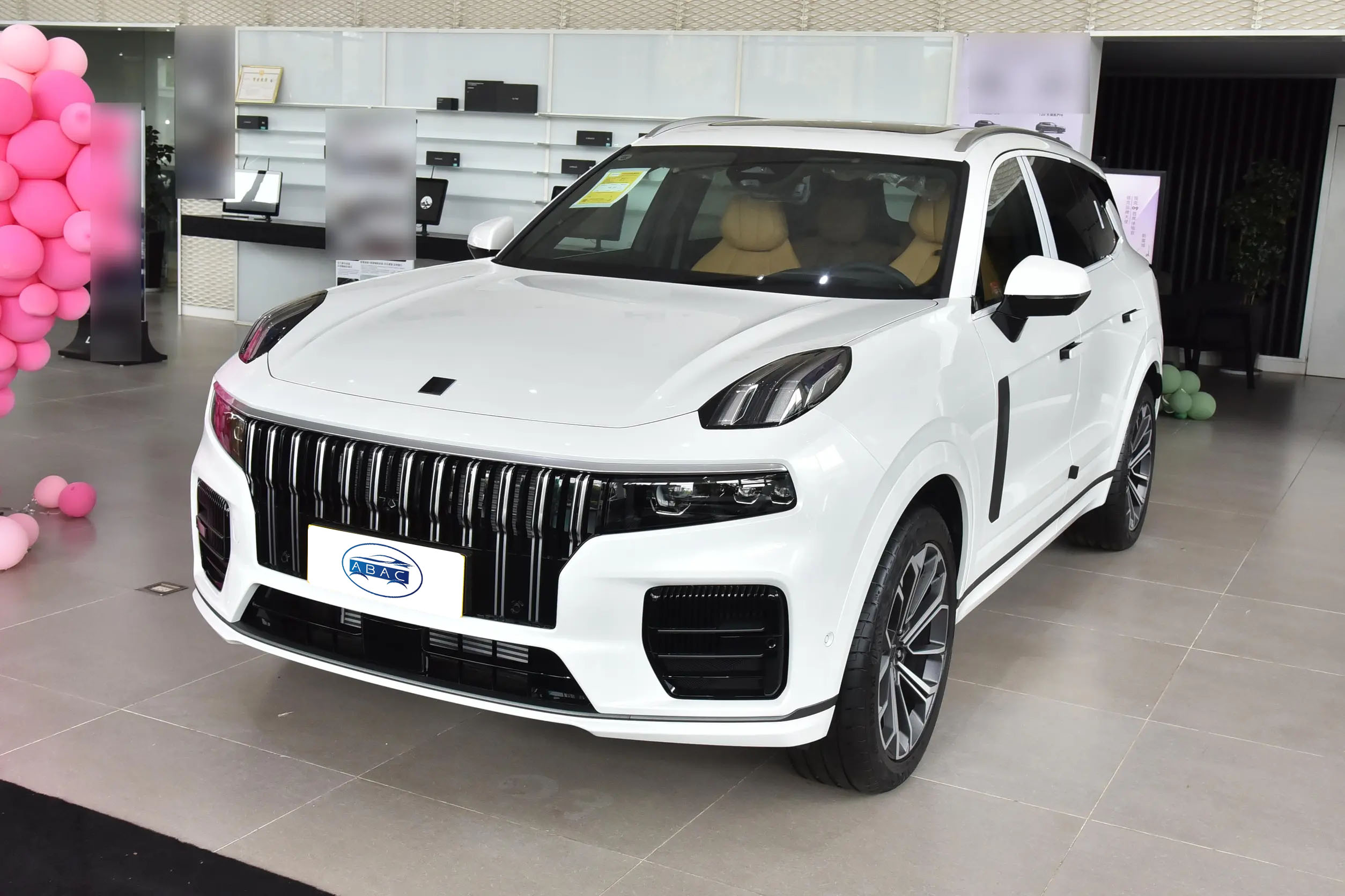 2024 Lynk & Co 09 2.0T AWD Global Edition