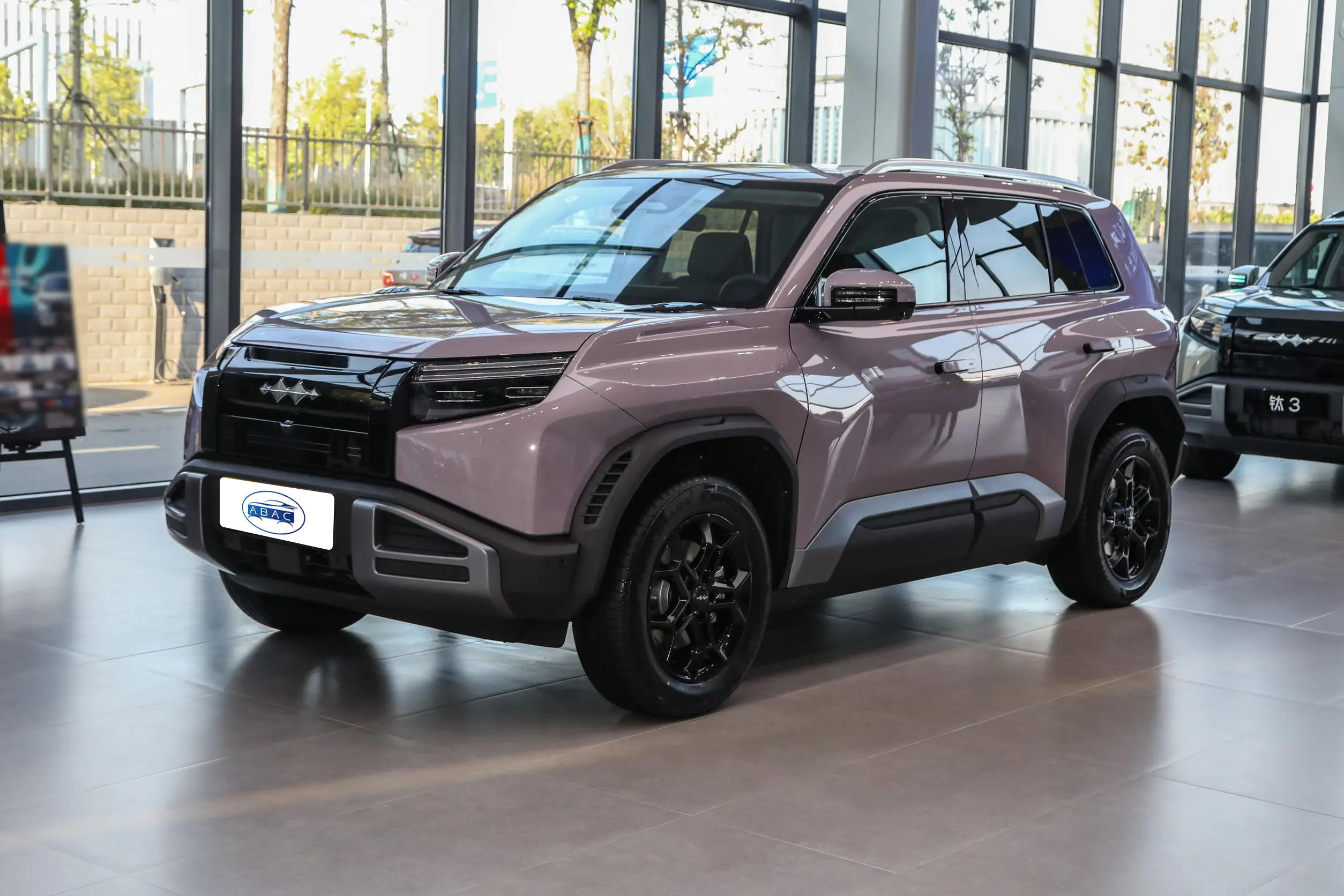 2025 FANG CHENG BAO Ti3 501KM RWD UItra|CAR EXPORTS - Image 3