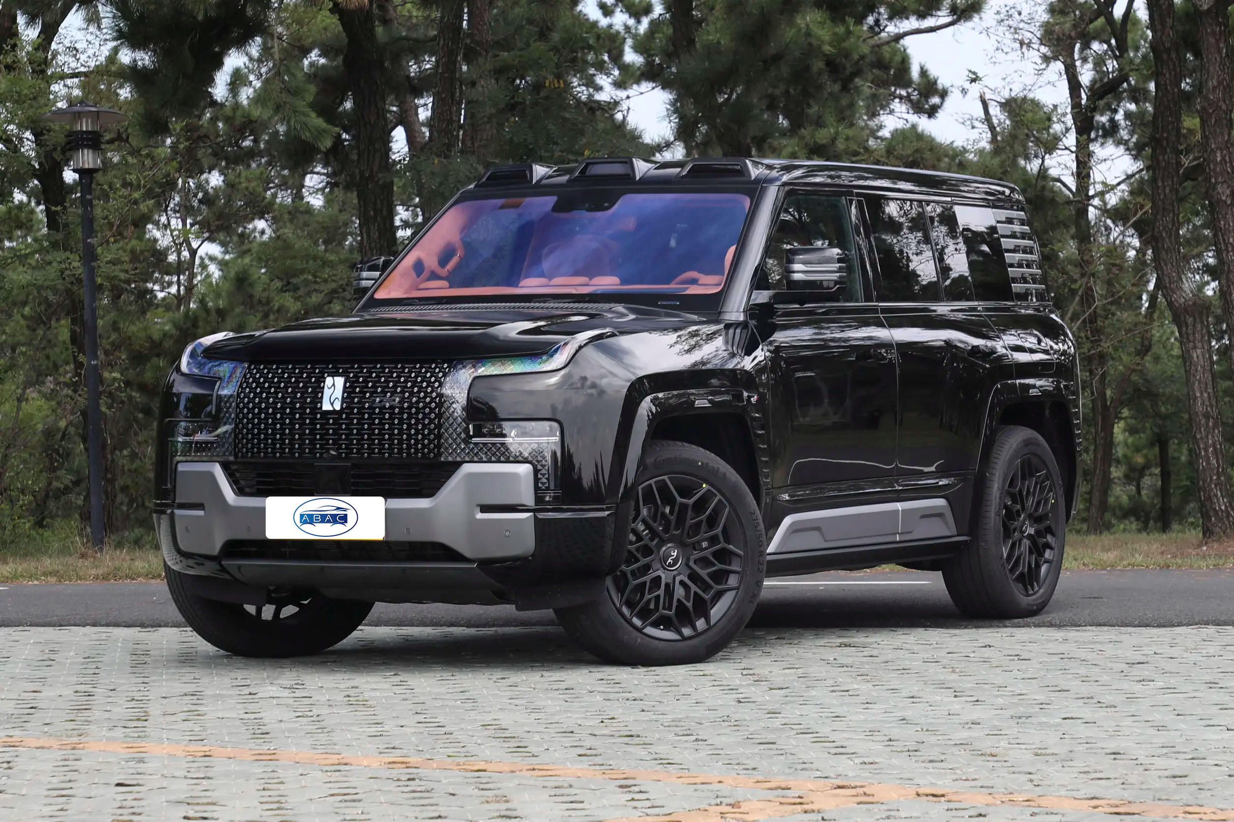 BYD Yangwang U8 Luxury Edition|ABAC CAR - Image 3